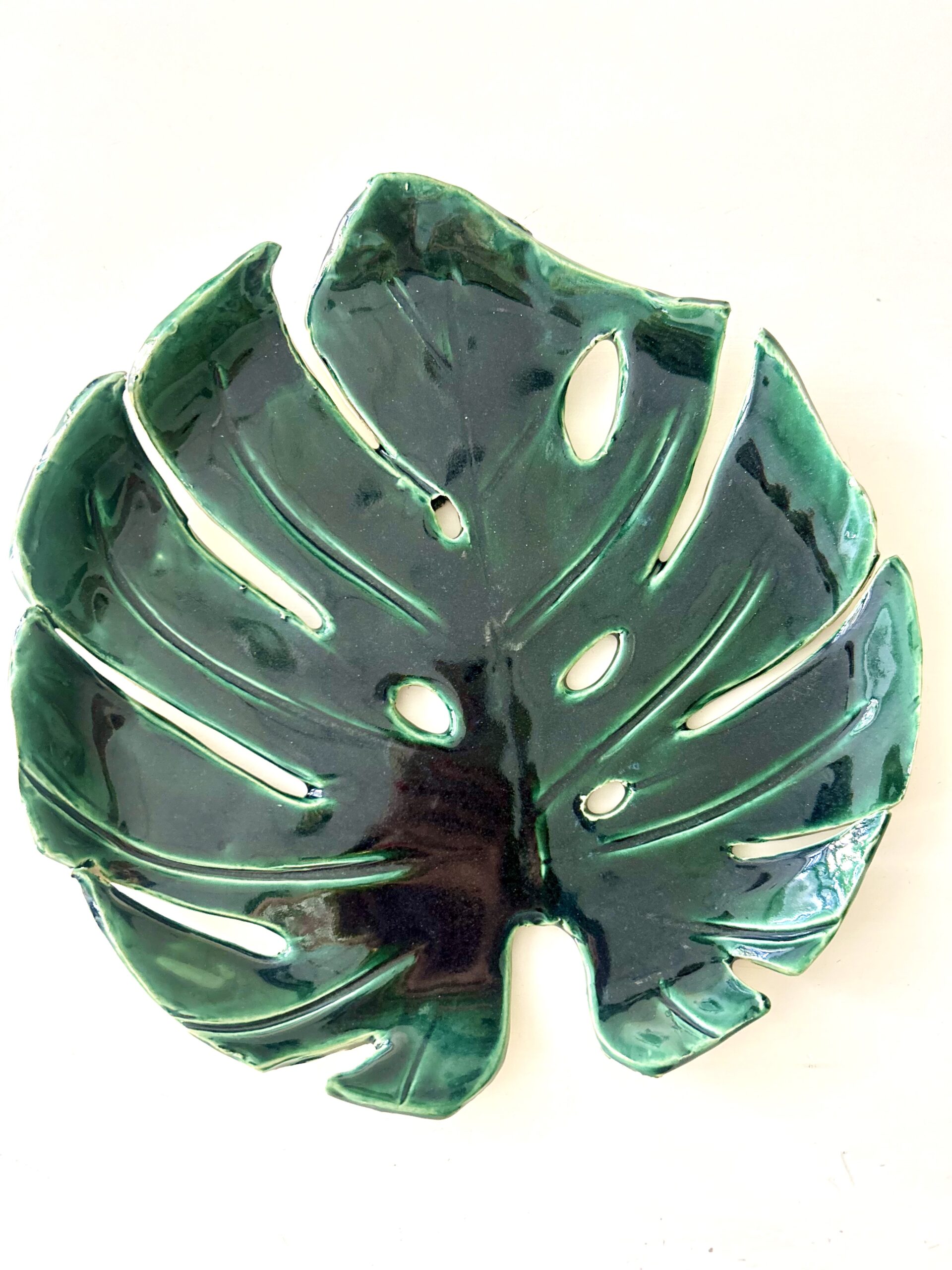 Monstera duża