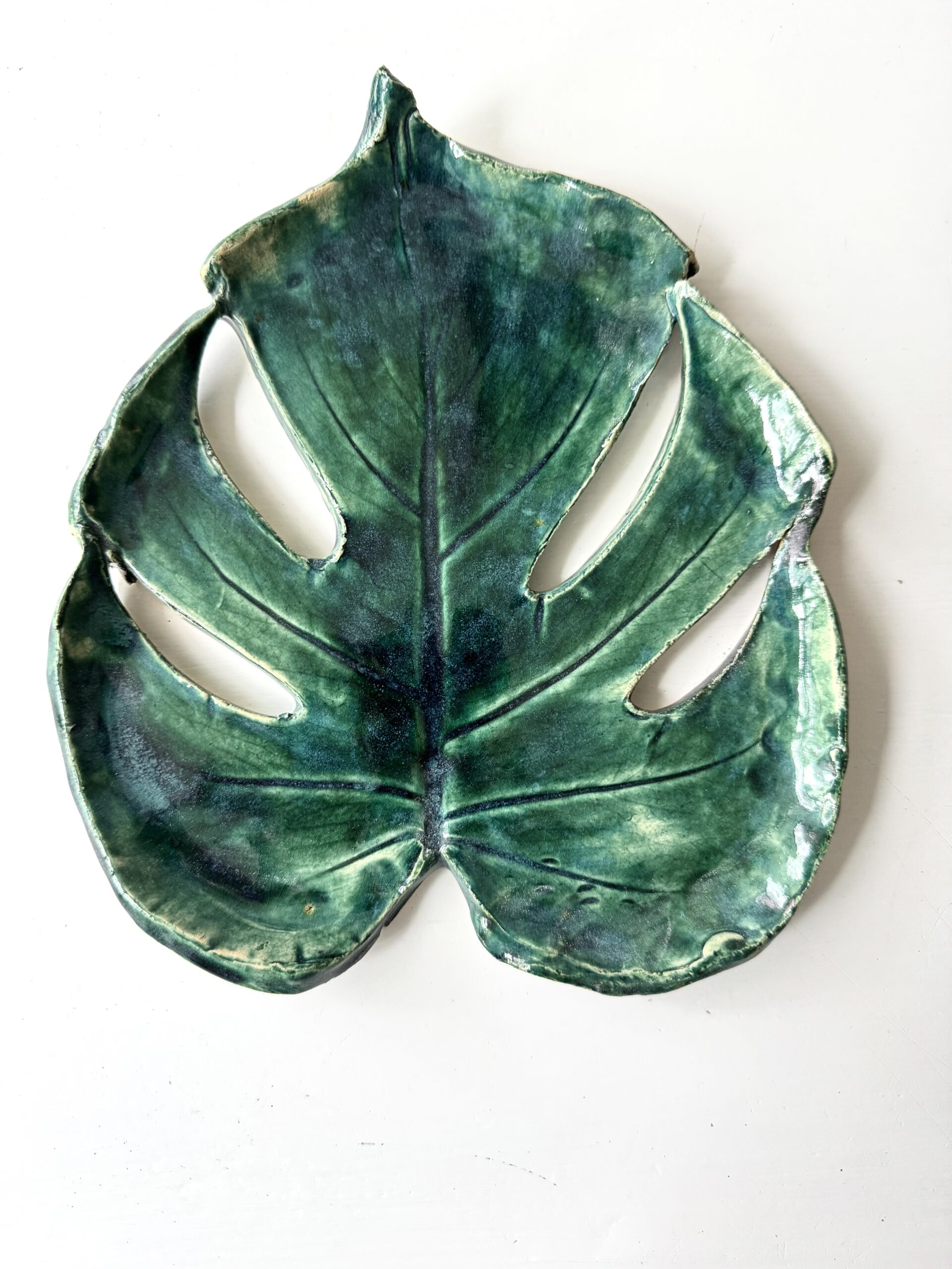 Monstera patera 9