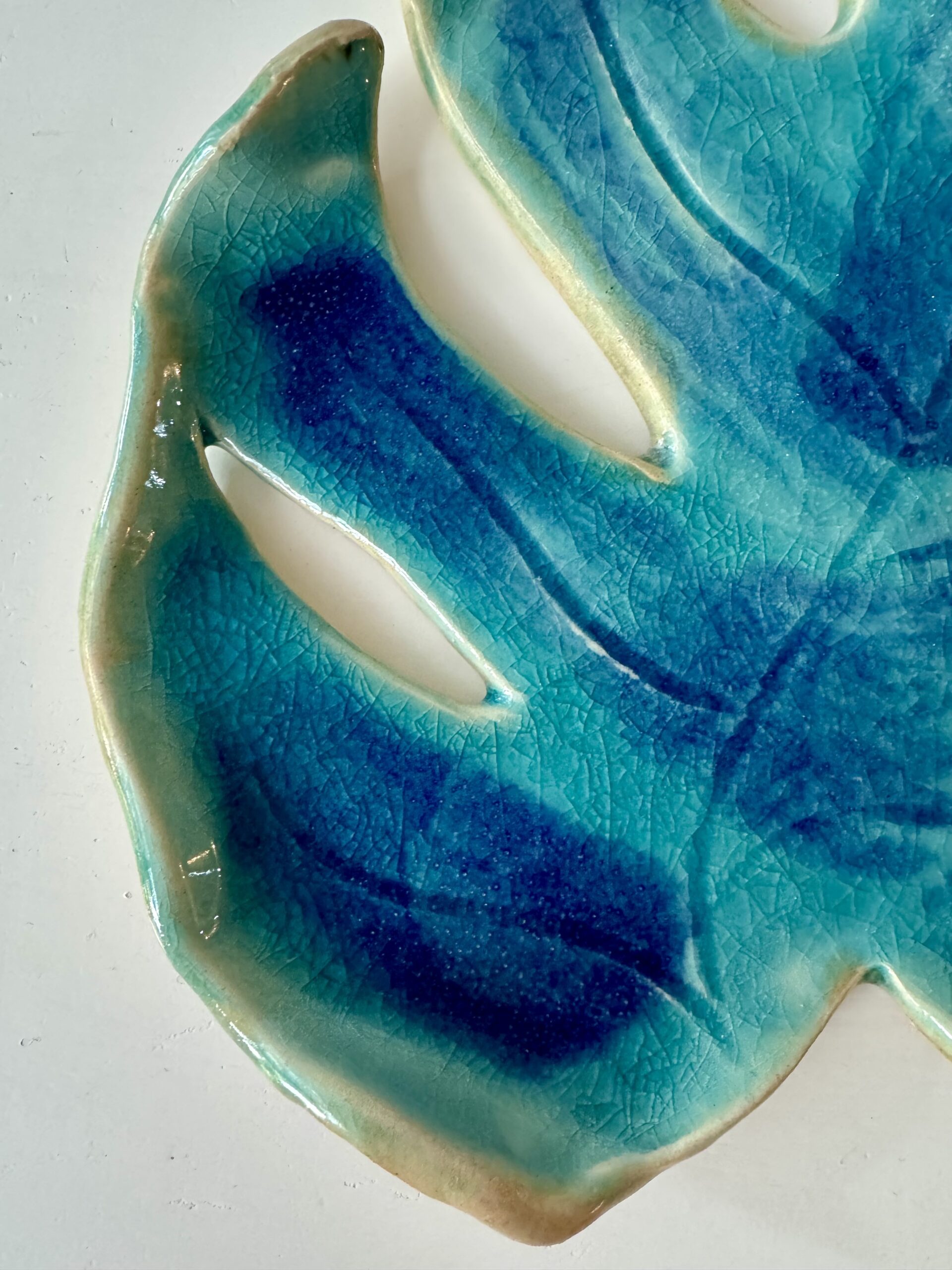 Patera Monstera (12)