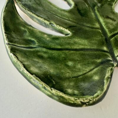 Patera Monstera (11)