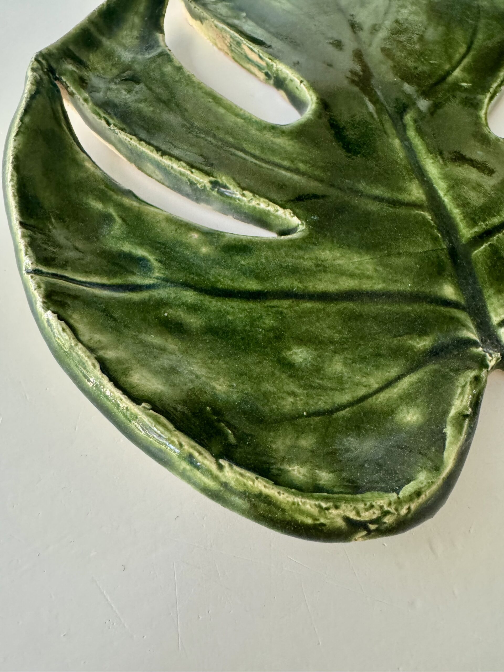 Patera Monstera (11)