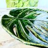 Monstera duża -  patera (NA ZAMÓWIENIE) - obrazek 7