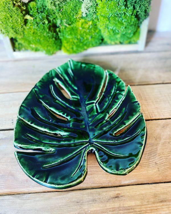 Monstera patera 5