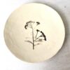 Patera natura - obrazek 2