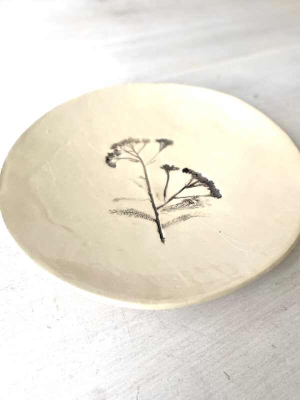 Patera natura