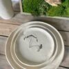 Patera natura 1 - obrazek 2