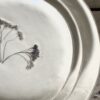 Patera natura 1 - obrazek 3