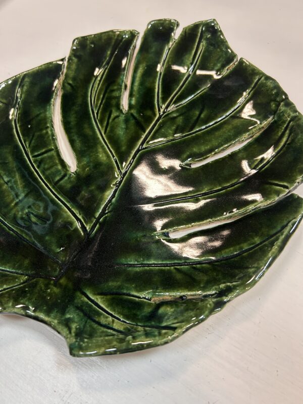 Monstera duża -  patera