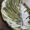 Monstera duża -  patera - obrazek 4