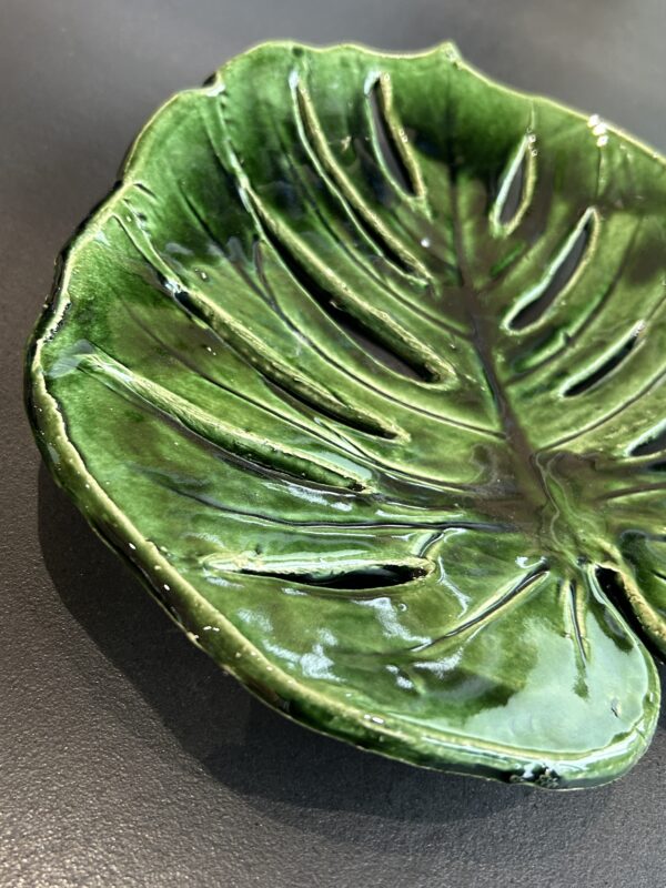Monstera  -  patera