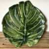 Monstera duża -  patera - obrazek 2