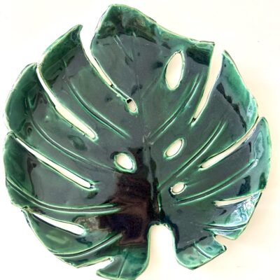 Monstera duża