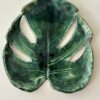 Monstera patera 9 - obrazek 6