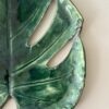 Monstera patera 9 - obrazek 4