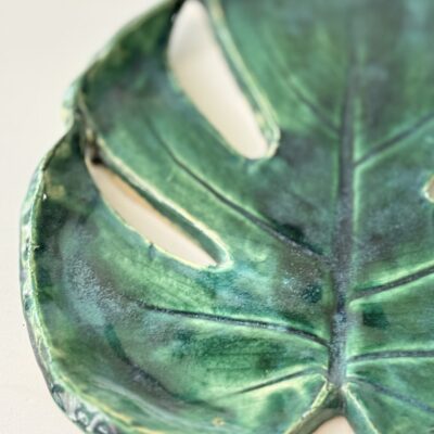 Monstera patera 9