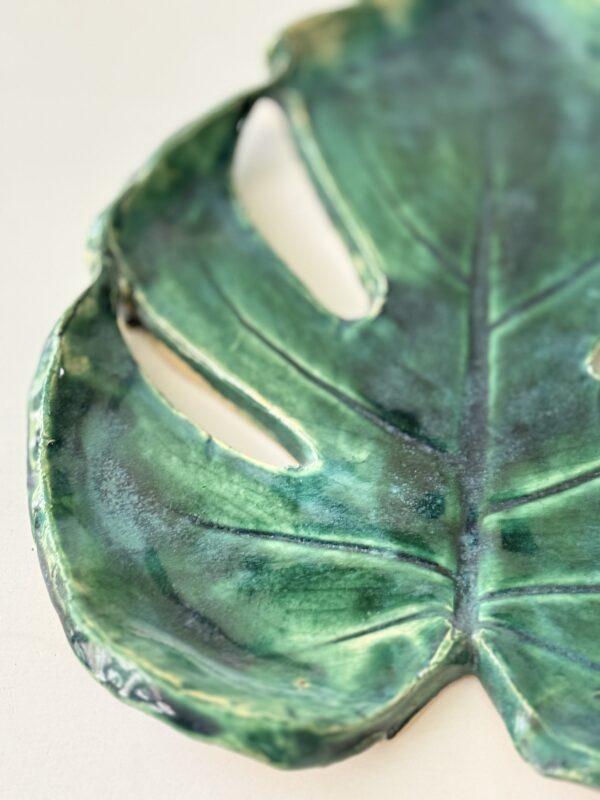 Monstera patera 9