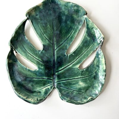Monstera patera 9