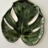 Monstera patera 11 - obrazek 4