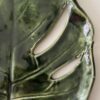 Monstera patera 11 - obrazek 3