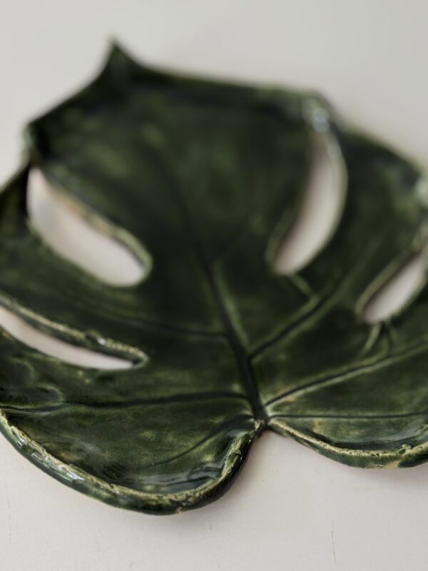 Monstera patera 11