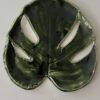 Monstera patera 10 - obrazek 3