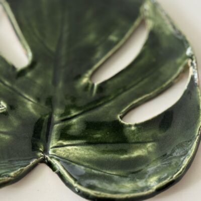 Monstera patera 10