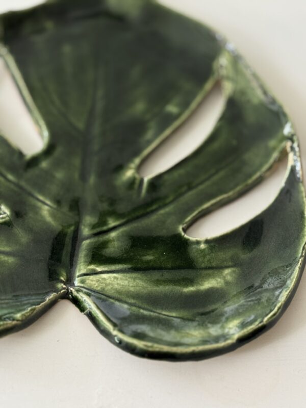 Monstera patera 10